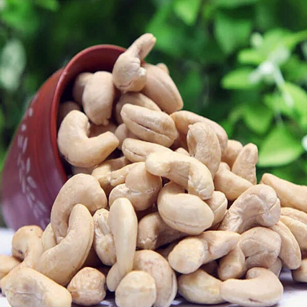 Cashew Nut Ultima